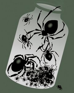 Киев: внутривидовой отбор